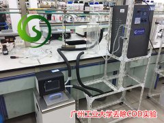廣州工業(yè)大學(xué)去除COD實(shí)驗